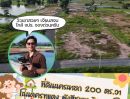 - ที่ดิน 200 ตร.วา โฉนดครุฑแดง ผังสีชมพู วิวภูเขา พรหมณี เมืองนครนายก ใกล้ จปร.