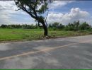 - ขายที่ดินบ้านแหวน หางดง 345 ตร.ว. ใกล้โรงเรียนนานาชาติลานนา โซนน้ำไม่ท่วม