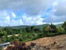 - ขายที่ดินในภูเก็ต Sew view ทำเลทองที่โฉนด เนื้อที่ 2 ไร่ ล้อมด้วยวิวเขา มองเห็นทะเล สวยสงบมาก ติดถนนสาธารณะสะดวก ต.เชิงทะเล ถลาง