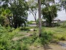 - ที่ดินศีรษะทอง นครชัยศรี ขายยกแปลง 489.4 ตร.ว. พร้อมสิ่งปลูกสร้าง