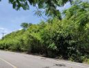 - ที่ดินท่าพระยา นครชัยศรี 4 แปลง 228 ตร.ว.
