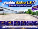 - ขายที่ดินผังสีม่วง 1 ไร่ 1 งาน 91.6 ตร.ว. ดอนไก่ดี กระทุ่มแบน ทำเลสำหรับคนมองหา "ที่ดินพร้อมใช้" ไม่ใช่แค่ที่ดินเปล่า
