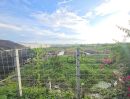 - ขายที่ดินพร้อมบ้านและสวน ขนาดใหญ่ 6 ไร่ 114 ตร.วา ทำเลทอง ใกล้ถนนพุทธมณฑลสาย 5 เพียง 750 เมตร เหมาะสำหรับทำบ้านพักตากอากาศ บ้านสวน
