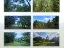 - ที่ดินผืนงามน่าลงทุน 3 ไร่ ติดแม่น้ำนครนายก เพียง 12 ล้านบาท พัฒนาได้หลายรูปแบบ, ใกล้แหล่งท่องเที่ยว