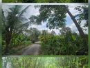 - ที่ดินผืนงามน่าลงทุน 3 ไร่ ติดแม่น้ำนครนายก เพียง 12 ล้านบาท พัฒนาได้หลายรูปแบบ, ใกล้แหล่งท่องเที่ยว