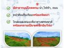  - ขายที่ 2 ไร่ ต.หนองกวาง จ.ราชบุรี, พร้อมโอน, น้ำ-ไฟ เข้าถึง ใกล้แหล่ง สาธารณูปการ ต่างๆในรัศมี 1 กิโลเมตร