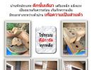  - ขายรีสอร์ทพร้อมใช้ พื้นที่ 5 ไร่, ใกล้แหล่งท่องเที่ยว, ที่ดินสวยหน้ากว้าง 50 เมตร ติดถนนหลวง 4 เลน ,หน้าดินสูงถึงระดับถนน น้ำ-ไฟเข้าถึง