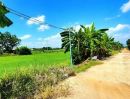- ขายที่ดินคลอง 12 หนองเสือ 1 ไร่ ติดถนน 2 ด้าน เหมาะปลูกบ้านสวน ทำเกษตรพอเพียงได้ ทำโกดัง อยู่ใกล้แหล่งชุมชน