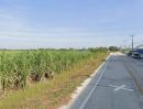 - ขายที่ดินหนองอิรุณ 52 ไร่ ติดถนนคอนกรีตใกล้ถนนจารุวร349 600 เมตร บ้านบึง ชลบุรี