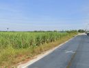 - ขายที่ดินหนองอิรุณ 52 ไร่ ติดถนนคอนกรีตใกล้ถนนจารุวร349 600 เมตร บ้านบึง ชลบุรี