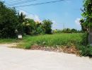 - ขายที่ดิน 130 ตร.ว. ซอยเลียบคลองนายหลีก ใกล้วัดลาดปลาดุก อำเภอบางบัวทอง นนทบุรี