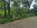  - ขายที่ดินตำบลวัดเกตุห่างสวนรถไฟเพียง 100เมตรพร้อมโอน