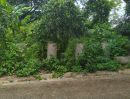  - ขายที่ดินตำบลวัดเกตุห่างสวนรถไฟเพียง 100เมตรพร้อมโอน