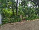  - ขายที่ดินตำบลวัดเกตุห่างสวนรถไฟเพียง 100เมตรพร้อมโอน