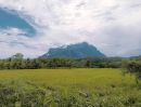 - ขายที่ดินติดวิวดอยหลวงเชียงดาวติดลำเหมืองโฉนดพร้อมโอน