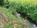 - ขายที่ดินติดวิวดอยหลวงเชียงดาวติดลำเหมืองโฉนดพร้อมโอน
