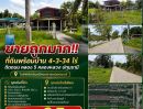  - ขายถูกมาก!! ที่ดินพร้อมบ้าน 4-3-34 ไร่ ติดถนน คลอง 5 คลองหลวง ปทุมธานี ใกล้พิพิธภัณฑ์วิทยาศาสตร์แห่งชาติ