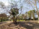 - ที่ดินดอยสะเก็ดทำเลทองใกล้ธรรมชาติบรรยากาศเงียบสงบ