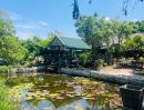 - ขายบ้านพร้อมที่ดินถมแล้ว 382 ตร.ว. มีศาลาริมน้ำ บรรยากาศร่มรื่น ซอยฤชุพันธุ์ ไทรน้อย นนทบุรี