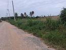 - ขายที่ดินเขาไม้แก้ว 2 ไร่ ติดถนนลาดยาง ใกล้โรงเรียนนานาชาติรักบี้-900เมตร อ.บางละมุง ชลบุรี