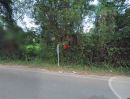  - ขายด่วน! ที่ดินเปล่าแปลงใหญ่ 273 ตร.ว. ติดถนน เมืองหนองคาย ทำเลดี