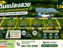 - ขายที่ดินแปลงสวย ทำเลดี ขายทั้งหมด 4 แปลงติดกัน แปลงละ 3 งาน 48 ตารางวา ตำบลนพรัตน์ อำเภอหนองเสือ จังหวัดปทุมธานี