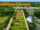 - ขายที่ดินแปลงสวย ทำเลดี ขายทั้งหมด 4 แปลงติดกัน แปลงละ 3 งาน 48 ตารางวา ตำบลนพรัตน์ อำเภอหนองเสือ จังหวัดปทุมธานี