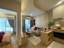  - Pet-Friendly Condo ตอบโจทย์ทุก Lifestyle ของคนและสัตว์เลี้ยง ใช้ชีวิตง่ายๆ ท่ามกลางธรรมชาติสีเขียวและสิ่งอำนวยความสะดวกครบครัน
