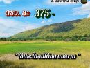 - ที่โคกสำโรง ลพบุรี ไร่ละ 150,000 ติดลาดยาง มีไฟ ใกล้ ถ.205 พหล และบายพาสสายใหม่ ขายยก 28 ไร่กว่า แถมที่งอกฟรีๆ ถึง 4 ไร่