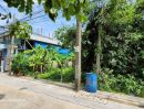 - ขายที่ดินใกล้ม.ธนบุรี 96 ตารางวา ติดถนนคอนกรีต เพชรเกษม 108 แยก 7 ภาษีเจริญ กทม.