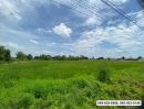 - ขายที่ดินติดถนน 4 เลนลำลูกกา 5-3-19 ไร่ คลอง13 ใกล้สนามกอลฟ์ลำลูกกา โซน รังสิต-ลำลูกกามีศักยภาพสูงต่อขยายรถไฟฟ้ามาสถานีคูคตลำลูกกา ปทุมธานี