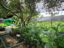 - ที่ดินพร้อมสิ่งปลูกสร้าง 4 ไร่ 83 ตร.วา ติดถนน สามพราน นครปฐม