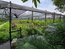 - ที่ดินพร้อมสิ่งปลูกสร้าง 4 ไร่ 83 ตร.วา ติดถนน สามพราน นครปฐม