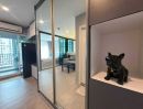 - ให้เช่าคอนโด Regent Home Bangna 1 ห้องนอน ถนน สรรพาวุธ แขวงบางนา เขตบางนา,กรุงเทพมหานคร