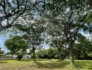 - ขายที่ดิน 2 ไร่ 71 ตรว. สันผีเสื้อ เชียงใหม่ ใกล้รวมโชค NIS/2 Rai 71 sq.wha Land for Sale in San Phi Suea