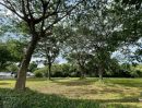 - ขายที่ดิน 2 ไร่ 71 ตรว. สันผีเสื้อ เชียงใหม่ ใกล้รวมโชค NIS/2 Rai 71 sq.wha Land for Sale in San Phi Suea