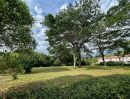 - ขายที่ดิน 2 ไร่ 71 ตรว. สันผีเสื้อ เชียงใหม่ ใกล้รวมโชค NIS/2 Rai 71 sq.wha Land for Sale in San Phi Suea