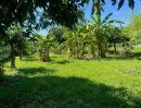 - ขายที่ดิน 175 ตรว. World Club Land หางดง เชียงใหม่ แปลงหัวมุม/175 sq.wha Land for Sale Hang dong