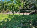 - ขายที่ดิน 175 ตรว. World Club Land หางดง เชียงใหม่ แปลงหัวมุม/175 sq.wha Land for Sale Hang dong
