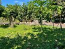 - ขายที่ดิน 175 ตรว. World Club Land หางดง เชียงใหม่ แปลงหัวมุม/175 sq.wha Land for Sale Hang dong