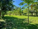 - ขายที่ดิน 175 ตรว. World Club Land หางดง เชียงใหม่ แปลงหัวมุม/175 sq.wha Land for Sale Hang dong