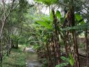 - ขายที่ดิน 10 ไร่ บ้านปง หางดง เชียงใหม่ ติดถนนหลักพร้อมพัฒนา/10 Rai Developed Land for Sale in Ban Pong,Hang Dong Chiang Mai