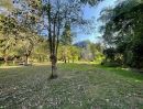 - ขายที่ดิน 10 ไร่ บ้านปง หางดง เชียงใหม่ ติดถนนหลักพร้อมพัฒนา/10 Rai Developed Land for Sale in Ban Pong,Hang Dong Chiang Mai