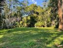 - ขายที่ดิน 10 ไร่ บ้านปง หางดง เชียงใหม่ ติดถนนหลักพร้อมพัฒนา/10 Rai Developed Land for Sale in Ban Pong,Hang Dong Chiang Mai