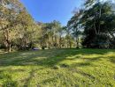 - ขายที่ดิน 10 ไร่ บ้านปง หางดง เชียงใหม่ ติดถนนหลักพร้อมพัฒนา/10 Rai Developed Land for Sale in Ban Pong,Hang Dong Chiang Mai