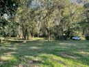 - ขายที่ดิน 10 ไร่ บ้านปง หางดง เชียงใหม่ ติดถนนหลักพร้อมพัฒนา/10 Rai Developed Land for Sale in Ban Pong,Hang Dong Chiang Mai