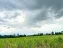 - ขายที่ดินเปล่า 2 เเปลง ทำเลดี เหมาะสำหรับลงทุน จังหวัดนครราชสีมา