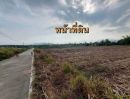 - ขายที่ดินแปลงสวย 6 ไร่ ทำเลทอง เขตพัฒนาเมือง ผังสีส้ม หนองชาก-บ้านบึง