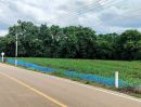 - ที่ดินแปลงสวยที่สุดในสบเป๊าะ แม่ทะ ลำปาง วิวเขาพาโนรามา ใกล้แม่น้ำจาง