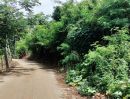 - ที่ดินเนินเขาวิวพาโนรามา 360 โอบล้อมด้วยขุนเขาและสายน้ำจาง อ.แม่ทะ จ.ลำปาง